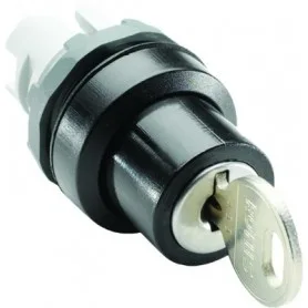 Переключатель M2SSK1-101 (2-х позиционный с ключом, 45°, ключ Ronis 71, корпус)
